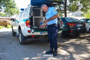Bastao Gnr Valença 3
