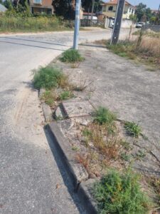 Zona Empresarial Gelfa 2