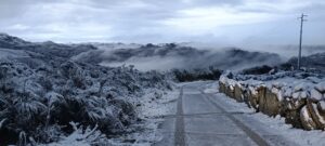 490953507 9539237609444938 605203759595906148 N