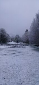 490977440 24083130554621322 4647110388176965308 N