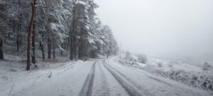 491222783 9539569376078428 997607408878694340 N