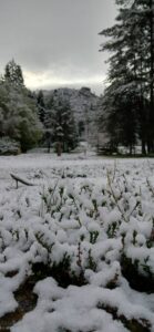 491231446 24083129854621392 1488479577968732026 N