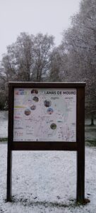 491800887 24083127311288313 6712111760364544152 N