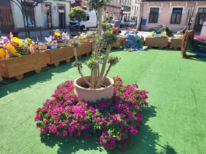 Vpa Em Flor 13