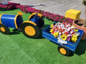 Vpa Em Flor 4