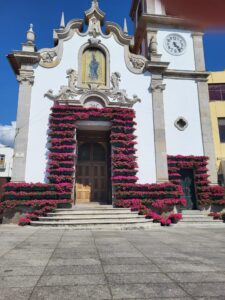 Vpa Em Flor 7