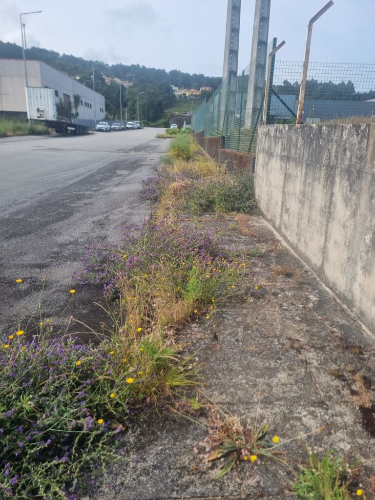 503993196 10228525765625530 4183714145177245467 N