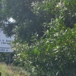 Falta Limpeza Vpa 11