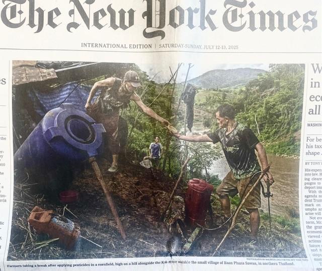 Jornal a vida é bela