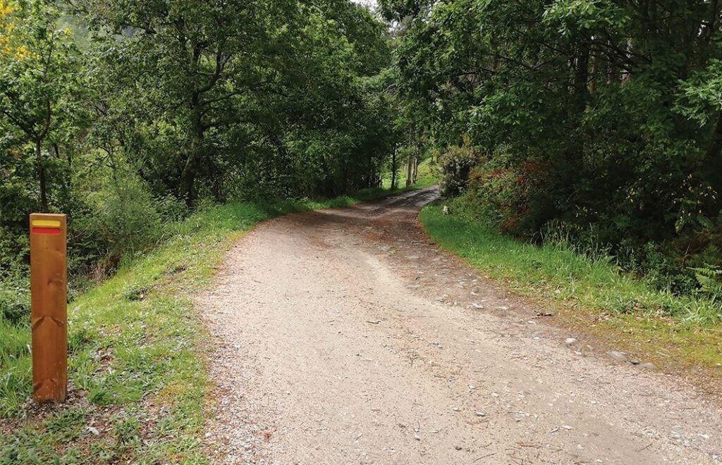 561854843 1218455120308056 1949910199443730558 n