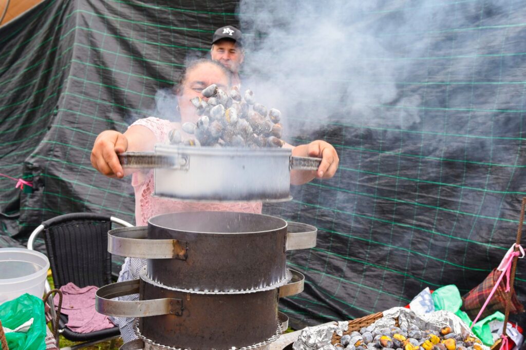 574517452 1354357260053085 7013847307917940760 n