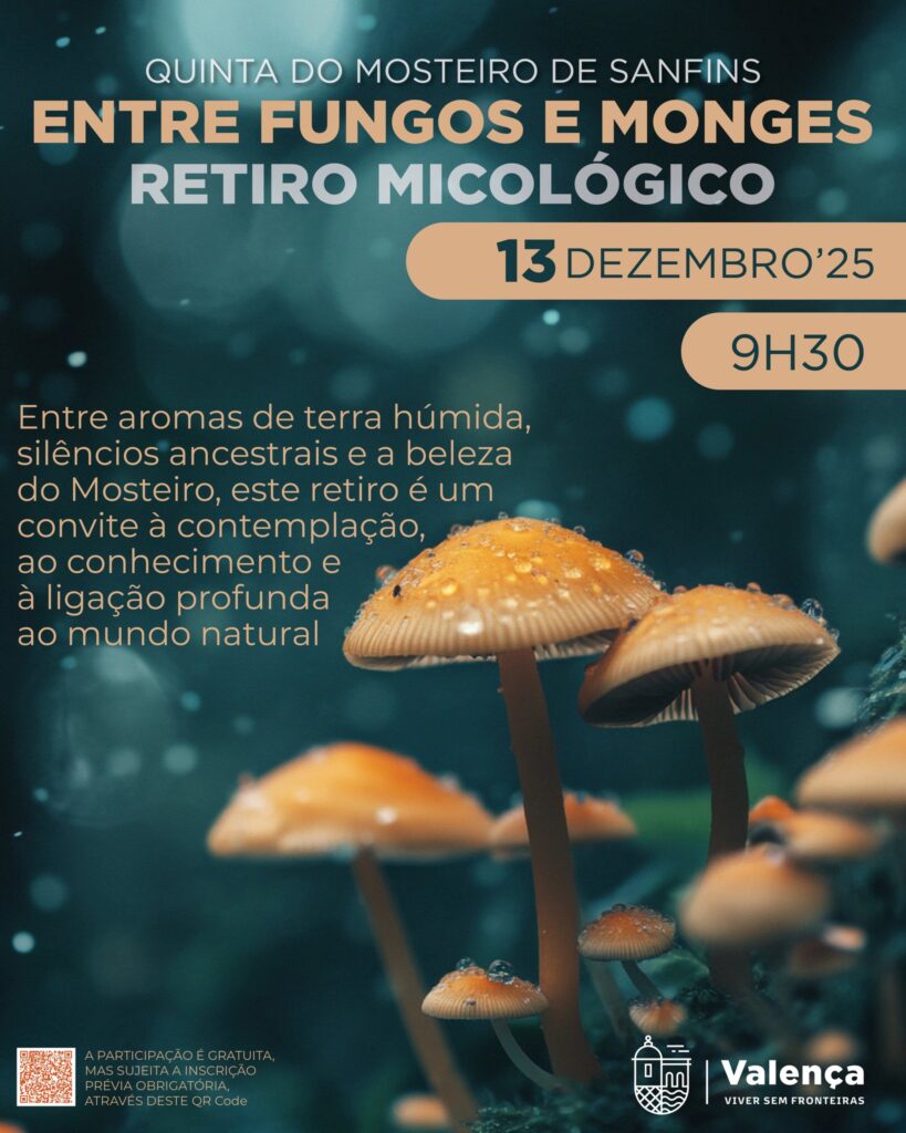 RetiroCogumelosValença