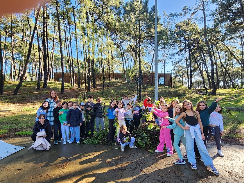 SCV NOPLANETB limpeza de invasoras