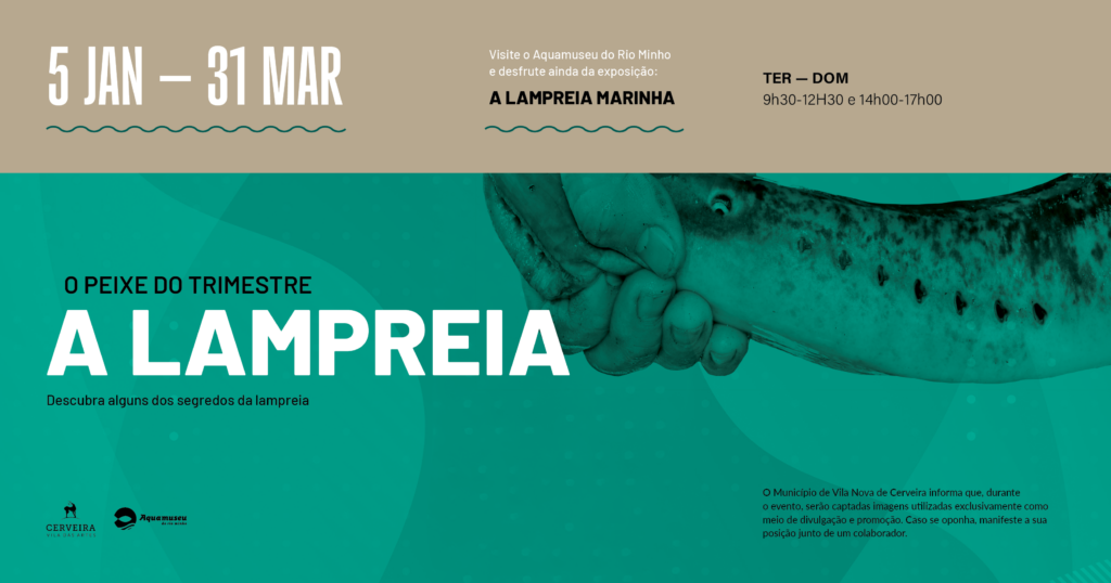 FB LAMPREIA