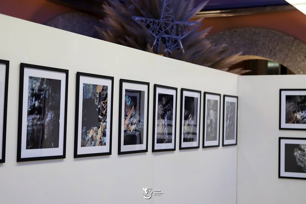 Exposição rosalina santos ponte da barca