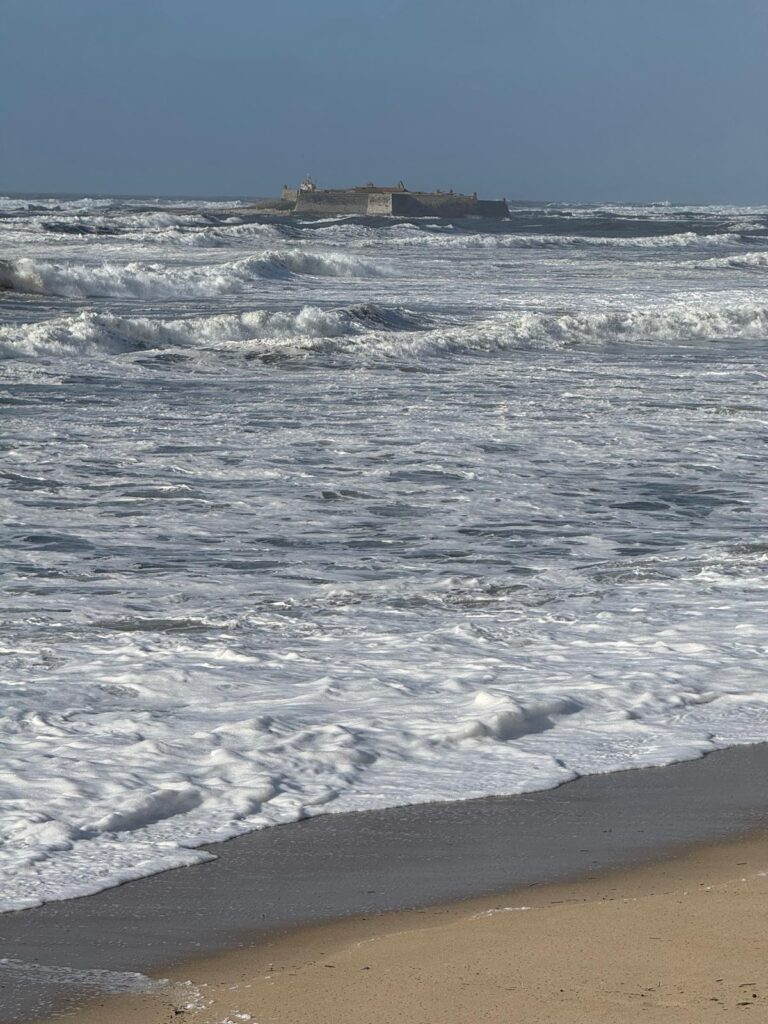 2026 praia moledo