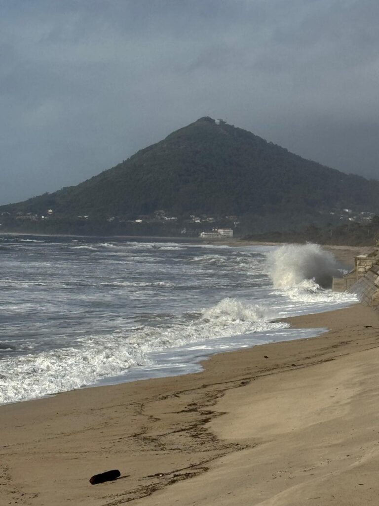 2026 praia moledo