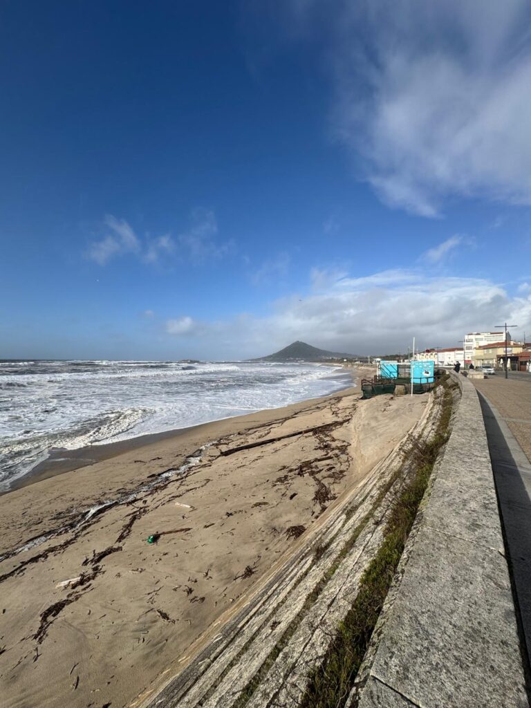 2026 praia moledo