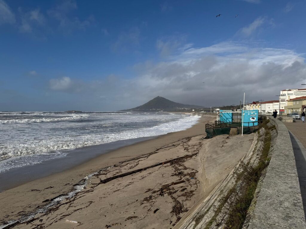 2026 praia moledo