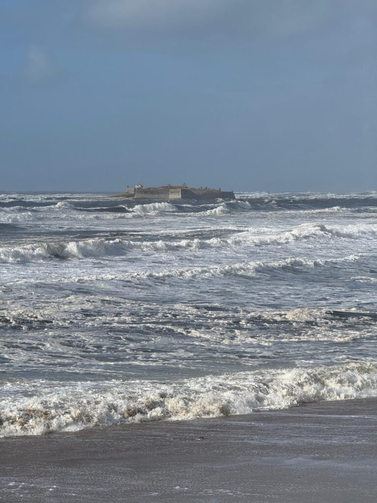 2026 praia moledo