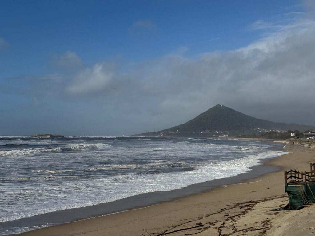 2026 praia moledo