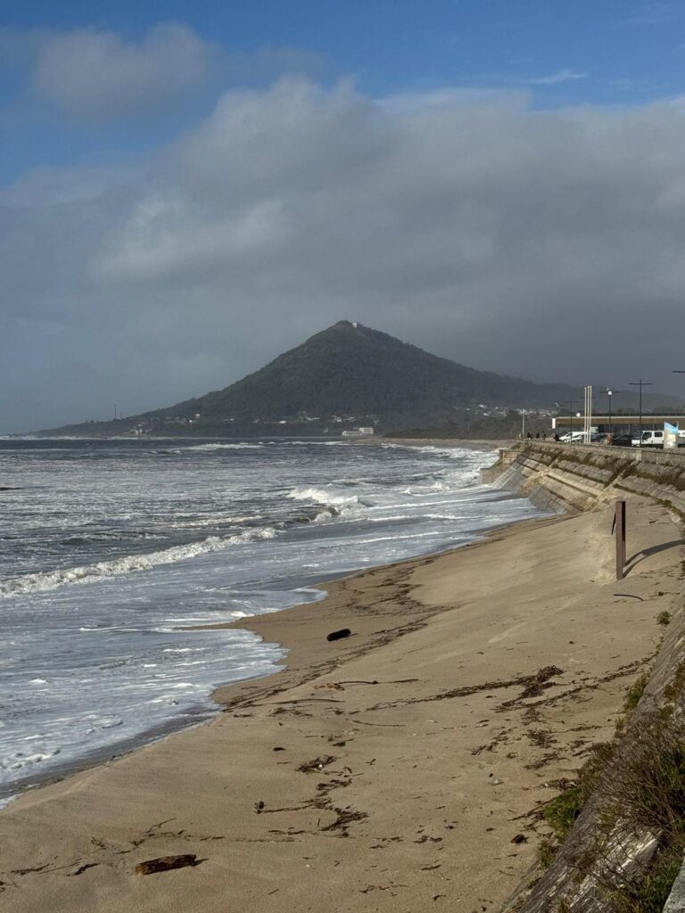 2026 praia moledo