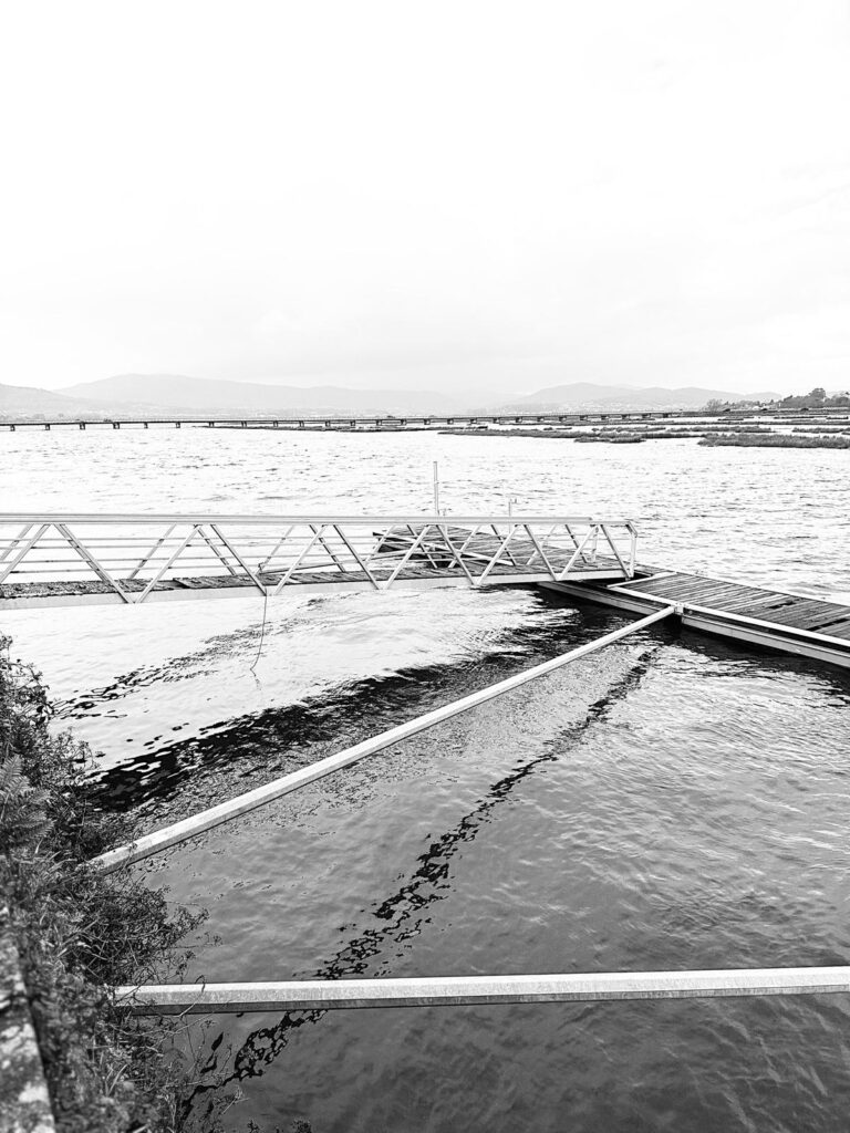 2026 rio coura