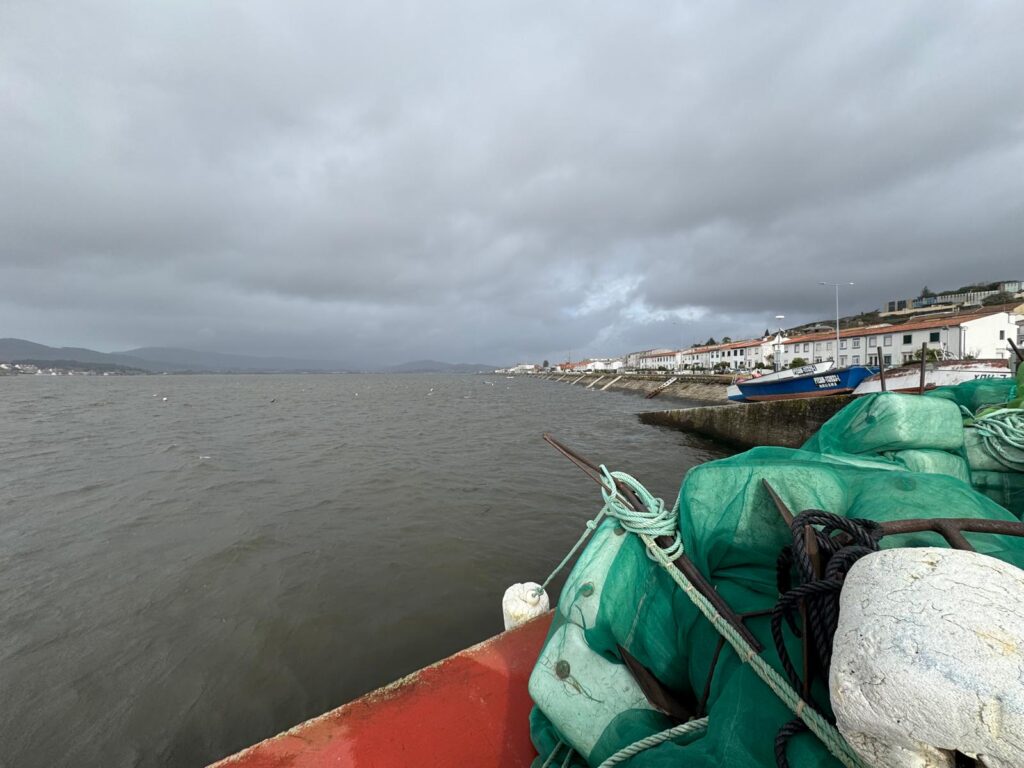 2026 rio minho