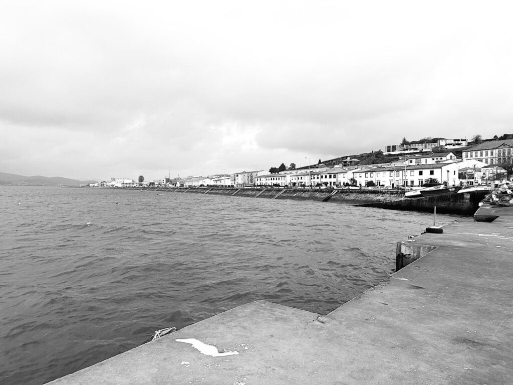 2026 rio minho