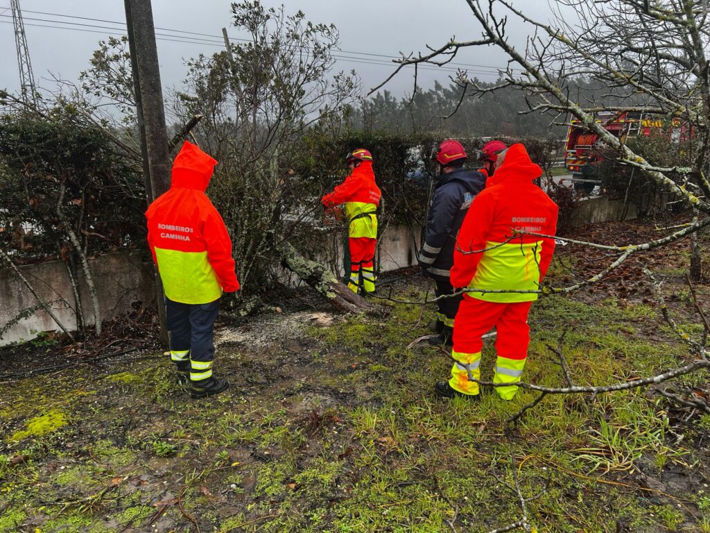 Bombeiros caminha leiria