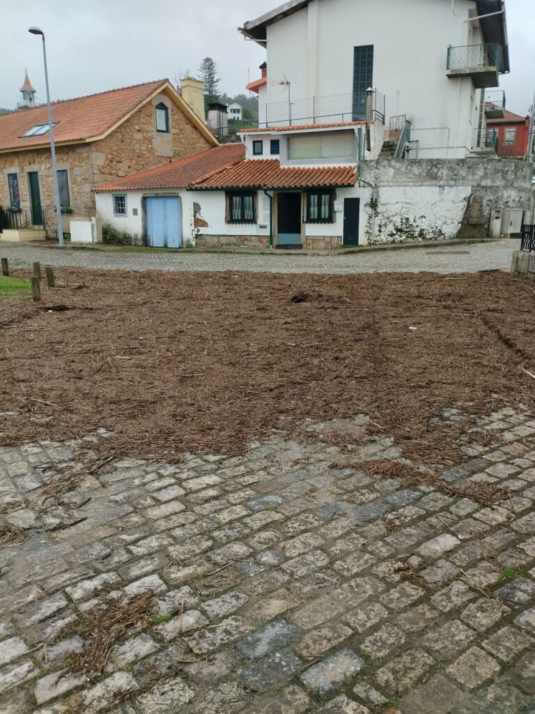 Seixas mau tempo