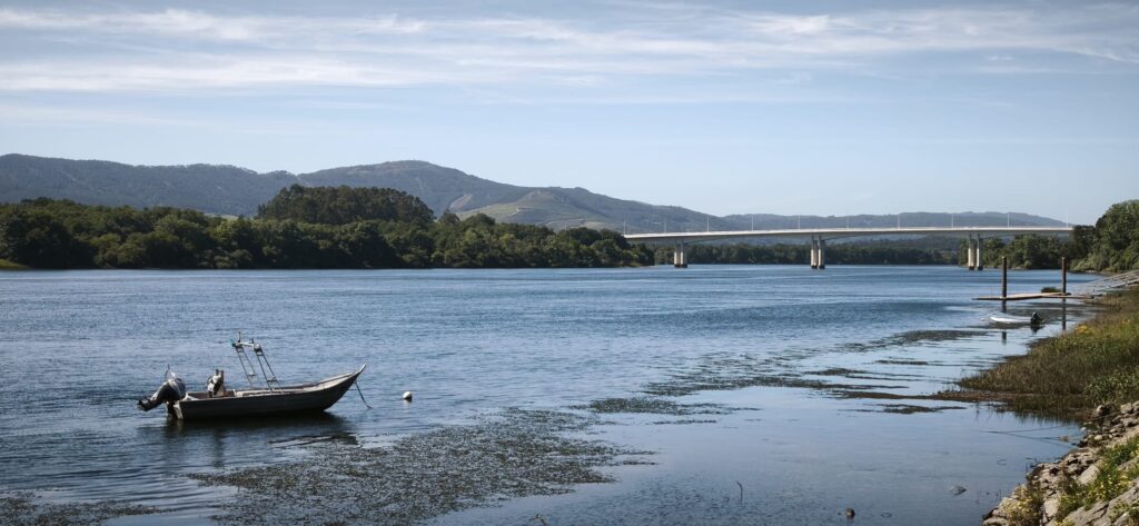 Ponte da amizade